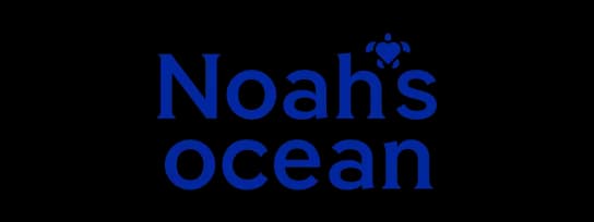 Noah's Ocean logo, blue text with a small turtle icon above 'Noah's'.